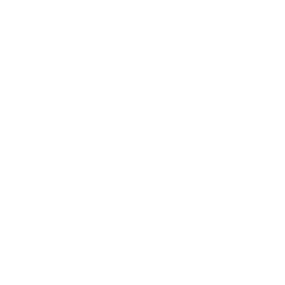 Mobile Services White